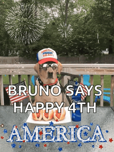 a dog wearing a red white and blue hat says bruno says happy 4th