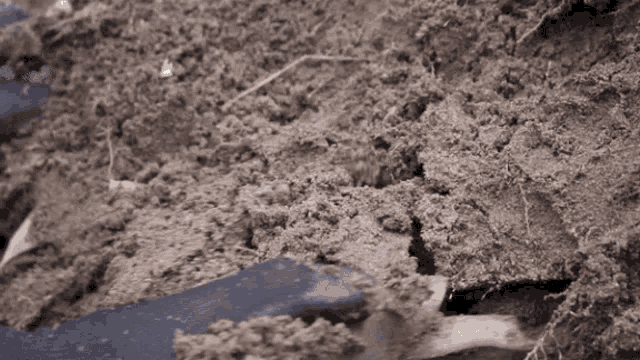 Digging Soil GIF - Digging Soil Sand GIFs