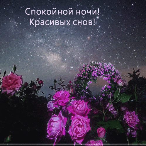 a greeting card in a foreign language with purple flowers and a starry sky