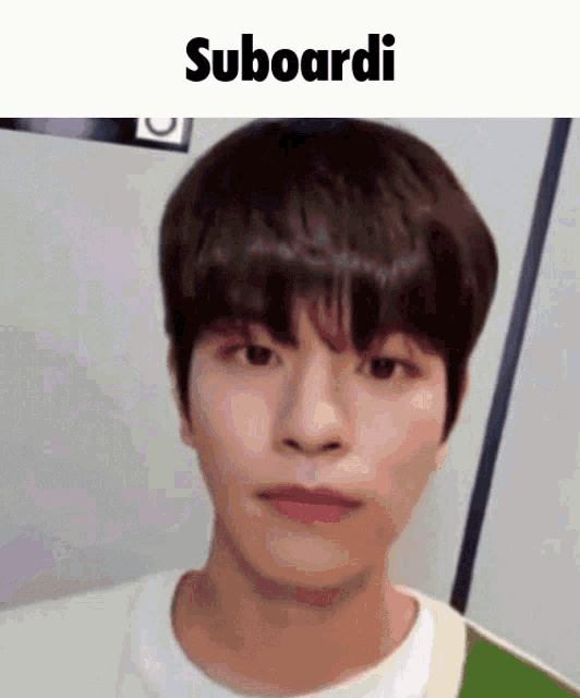 a close up of a young man 's face with the words suboardi written above him .