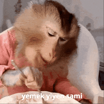 a monkey is sitting in a high chair eating from a plate with a spoon .