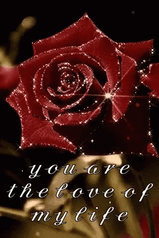 Roses Sparkle GIF - Roses Sparkle You Are The Love Of My Life GIFs