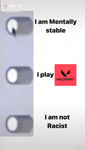 a screenshot of a tiktok that says i am mentally stable i play valorant and i am not racist