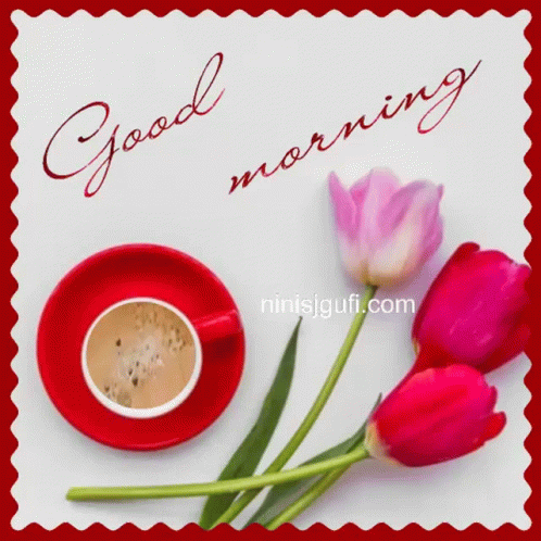 Good Morning Coffee GIF - Good Morning Coffee Tulips GIFs