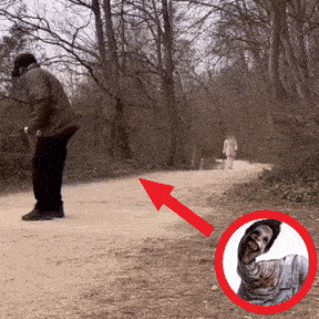 a red arrow points to a picture of a zombie on the ground