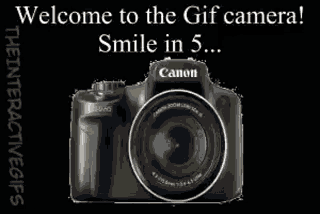 Gif Camera Monkey GIF - Gif Camera Monkey Photo Shoot GIFs