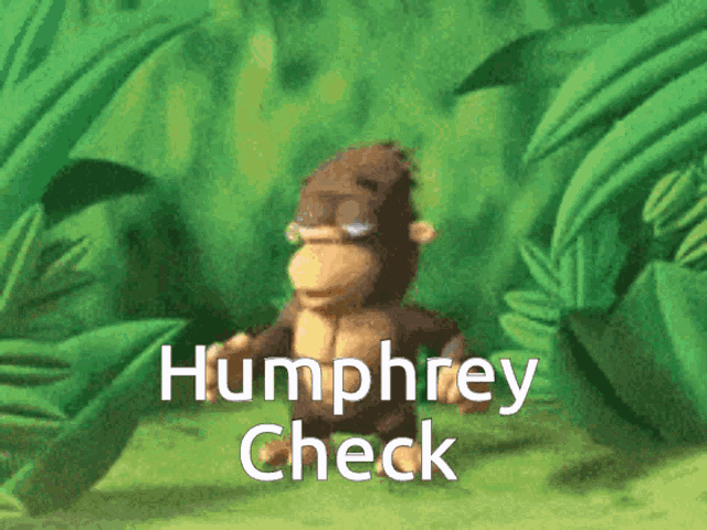 Monkey Humphrey GIF - Monkey Humphrey Check GIFs