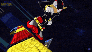 shadow the hedgehog from sonic the hedgehog rides a roller coaster in a video game