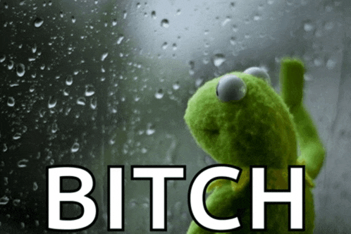 a kermit the frog looking out a window with the word bitch written below him
