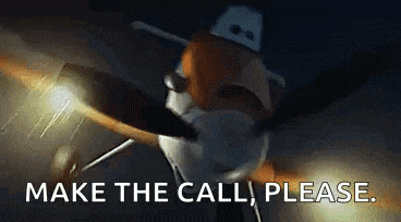 a picture of a plane with the words make the call please on it