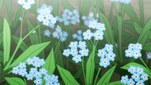 a bunch of small blue flowers with yellow centers are surrounded by green leaves