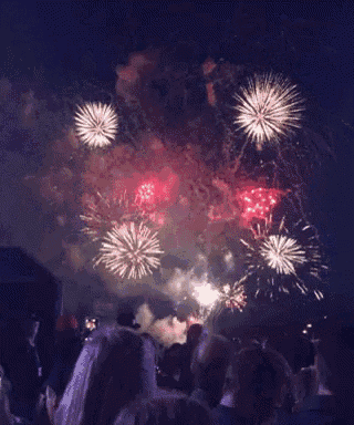 a crowd of people watching fireworks in the sky