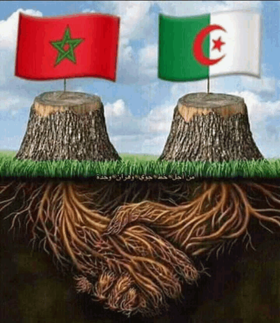 two tree stumps with flags on top of them and a handshake between them