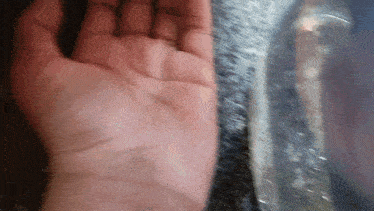 a close up of a person 's hand on a counter top