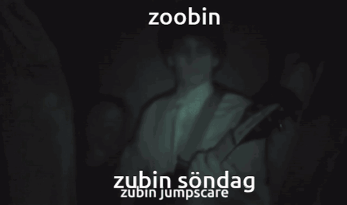 Zubin Sedghi GIF - Zubin Sedghi Söndag GIFs