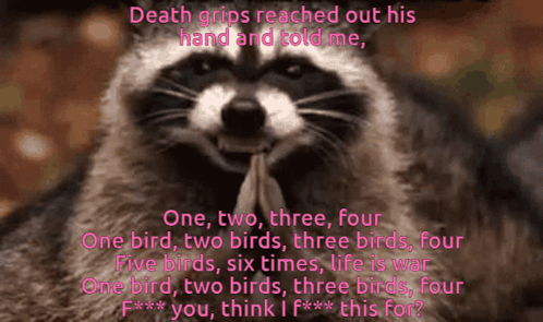Death Grips Raccoon GIF - Death Grips Raccoon Hehe GIFs
