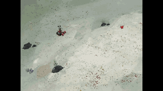 a drawing of a crab and a turtle on a white surface