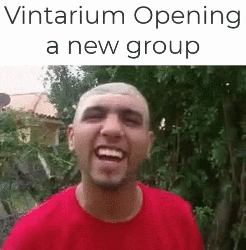 Vint Vintarium GIF - Vint Vintarium Vintarium Group GIFs