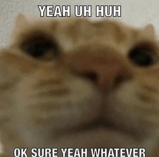 Cat Meme GIF - Cat Meme I Don'T Care GIFs