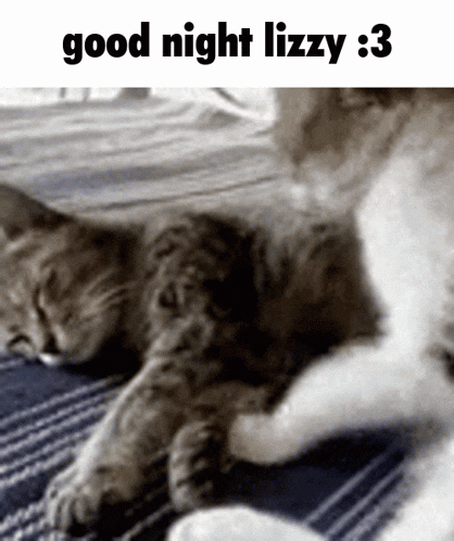 two cats are laying on a blanket with the words good night lizzy : 3 above them