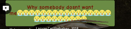 why somebody doesn t want written on a green screen