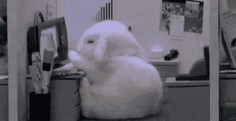 a white rabbit is sitting on a desk in front of a computer .