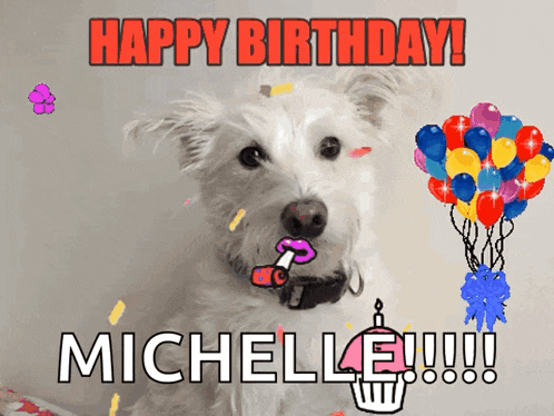 a white dog with balloons and confetti and the words happy birthday michelle