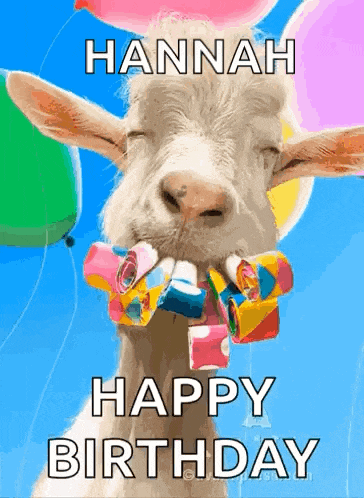 a goat with balloons in its mouth says happy birthday