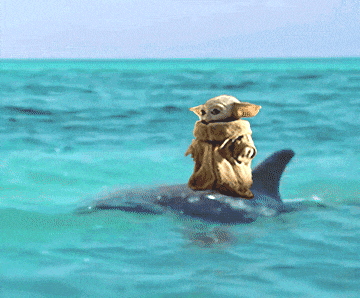 a dog is riding a dolphin in the ocean