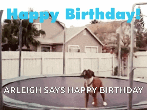 a dog jumping on a trampoline with the words happy birthday arleigh says happy birthday below it