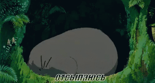 тоторо миядзаки гибли аниме спать сон сплю GIF - Totoro Ghibli Anime GIFs