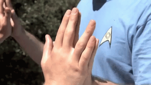 Spock Kirk GIF - Spock Kirk Startrek GIFs