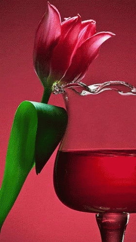 Red Flower GIF - Red Flower Glass GIFs
