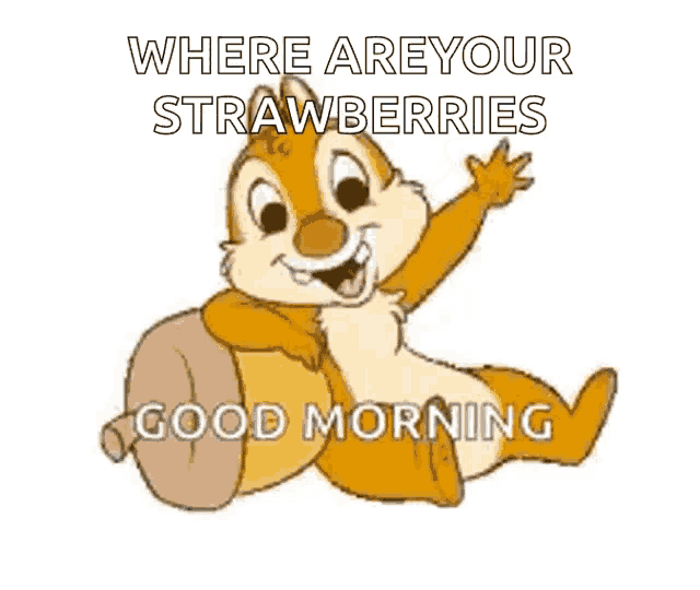 a chipmunk is sitting on an acorn with the words " where are your strawberries good morning "