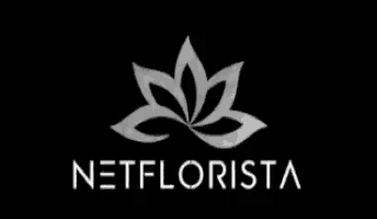 a logo for netflorista with a flower on it