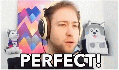 Perfect Comment GIF - Perfect Comment Expression GIFs