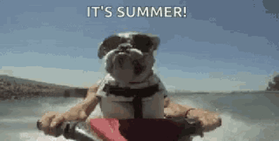 a bulldog wearing sunglasses is riding a jet ski in the water .