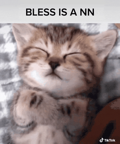 a picture of a kitten with the words bless is a nn