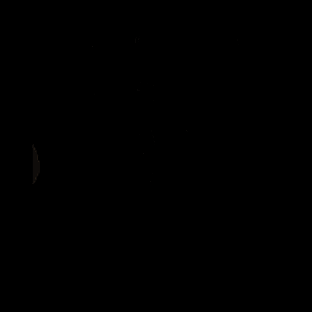 Enhorabuena Felicidades GIF