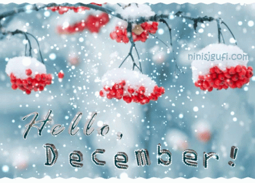 Hello December Snow GIF - Hello December Snow Winter GIFs