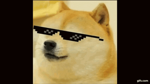 a dog wearing sunglasses that look like thug life sunglasses