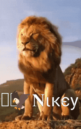 a lion is sitting on a rock with the word nikey on the bottom