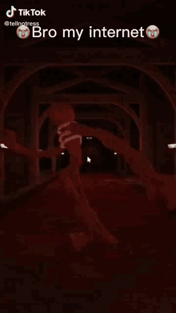 a screenshot of a tiktok video that says bro my internet disconnected