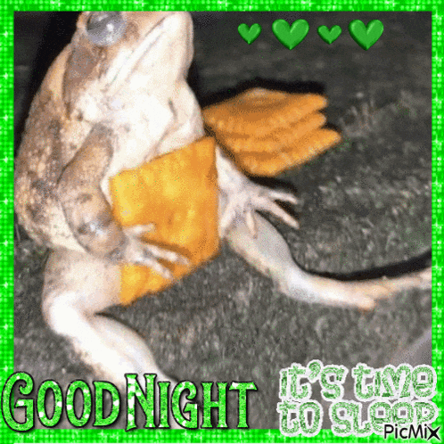 a picture of a frog with the words " goodnight it 's time to sleep "