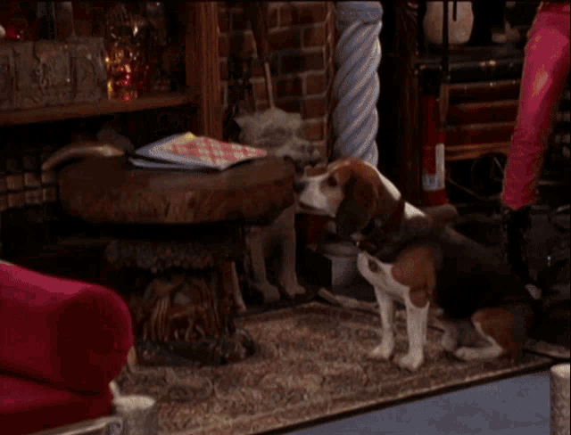 a brown and white dog with a fireball coming out of his mouth