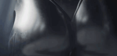 Echoes Of Silence The Weeknd GIF - Echoes Of Silence The Weeknd Xo GIFs