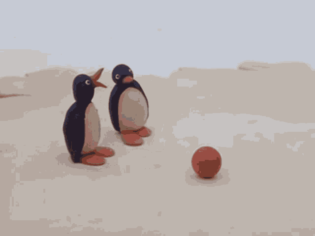 two penguins are playing with a red ball on the sand