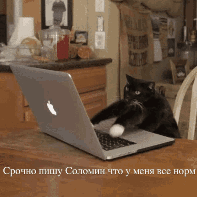 a black cat is using an apple laptop