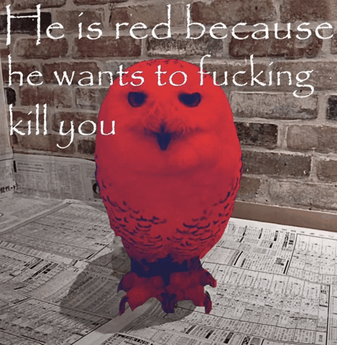 He Is Red GIF