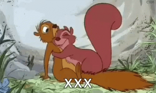 Love You GIF - Love You Squirrel GIFs